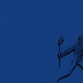 Songbirds、Michael Kennedy、リラックスマッサージ、Nowhere Now、Rose Tides - Dancing Vibe