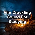 Evening Fireplace For Concentration To Repeat for 8 Hours