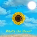 Scar - What's The Move?
