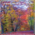 Istvan Szekely - Allegro