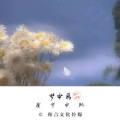 颜王词途 - 梦中画我梦中她