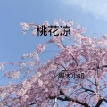 周大小姐 - 四重罪孽 (DJ版)