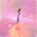 LOST FLOWER-花