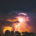 Tranquil Music Sound of Nature、Sonidos de la Naturaleza、Fabricantes De Lluvia - Forest Rain