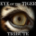 U.S.A. Classics - EYE Of The TIGER   [Survivor Salute]