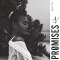 PROMISES (remix)