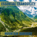 Essential Band - Harmony