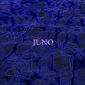Omar Martinez、Martínez - Juno