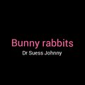 Dr Suess Johnny - Bunny Rabbits