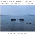 Cold Rain & Distant Thunder Sounds at the Jetty: One Hour