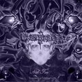 Erasmus - Under Evil Auspices