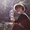 小特 - 究极纯电