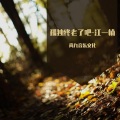 江一楠 - 孤独终老了吧