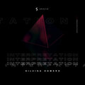 Interpretation