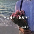 小哲呀 - 一生有你 (全剧终)