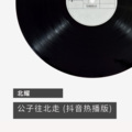 北耀 - 公子往北走