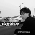 叶琛 - 刀寂寞剑孤单