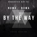 ByTheWay - Numa Numa (Dragostea Din Tei)