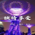 孔德威吖、灰猫、祁念 - 蹦迪神曲