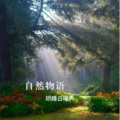 助眠解压 大自然白噪音
