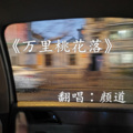 颜道 - 万里桃花落