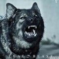 The BEAST (Explicit)