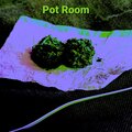 Hipno、Antwain Key - Pot Room (Explicit)