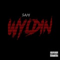 Wyldin' (Explicit)