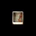 Karnivor (Explicit)