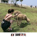 杨邪、苏小宝 - 多想在平庸的生活拥抱你