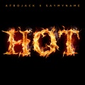 Afrojack、SAYMYNAME - Hot
