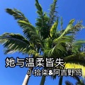 小拾柒、SunnaLu - 她与温柔皆失
