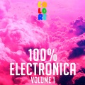 100% Electronica, Vol. 1