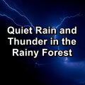 Spa Music Relaxation、Spa Zen、Spa Relaxation - Calm Rain and Thunder With Ocean Waves Loopable for 20 Hours