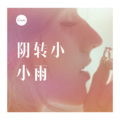 阴转小小雨(DJ)