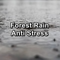 Forest Rain Anti Stress