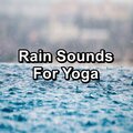 Life Sounds Nature、Nature Sound Collection、Nature Sound Series - Moderate Rain on a Tin Roof To Repeat for 24 Hours
