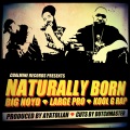 Big Noyd、Large Professor、Kool G Rap - Naturally Born