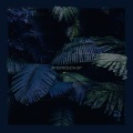Tasji、SJ - Aftertouch