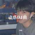 DJDJ给我一条K (新版)