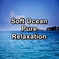 Ocean Sounds Collection、Ocean Waves、Ocean Sleeping Baby - Calming Waves For Insomnia Relief To Repeat for 10 Hours