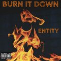 Entity - Burn It Down
