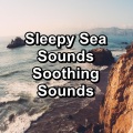 Relaxation、Relaxation Study Music、Relaxation Big Band - Peaceful Sea Calm and RelaxingTo Help your Baby Rest and Sleep
