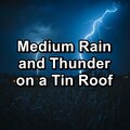 Relaxing Rain Sounds、Meditation Rain Sounds、Nature and Rain - Forest Rain and Thunder Droplets Pure Sounds to Help Insomnia