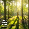 Experimental Raining Sounds for Calm and Relax