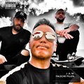 Medi、Ayaz、J. A. M.、Jally Jamz、Cihat - Falsche Pillen (Explicit)