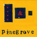 Pinegrove - Unison