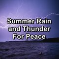 ASMR SLEEP、relax、Atmosphere Asmr - Rain Sound and Thunder with Alpha Waves Pure Sounds to Help Insomnia