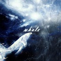 嫏华 - whale（鲸）