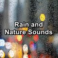 Sleep Sounds、Sleep Sound Library、Thunderstorm Sleep - Summer Rain For Yoga and Meditiation with Sleeping Music